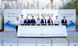 正东中央公馆新闻爆料最新,揭秘豪宅背后的惊人真相！