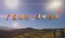 陆河新闻爆料最新情况视频,视频揭秘事件真相