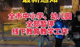 石家庄最新爆料新闻,揭秘某重大事件背后真相